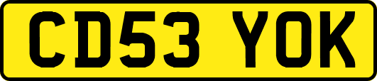 CD53YOK