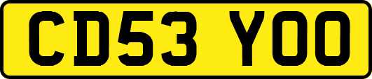 CD53YOO