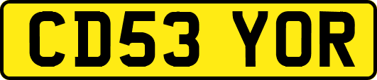 CD53YOR