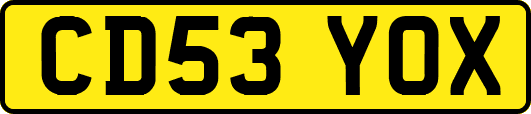 CD53YOX