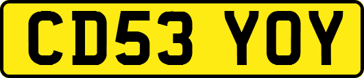 CD53YOY