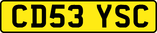 CD53YSC