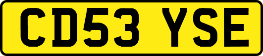 CD53YSE
