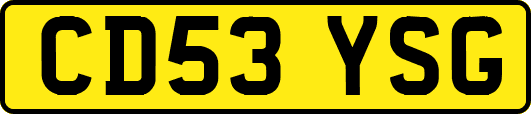 CD53YSG