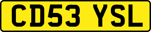 CD53YSL