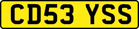CD53YSS