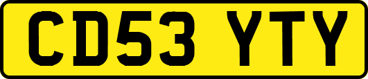 CD53YTY