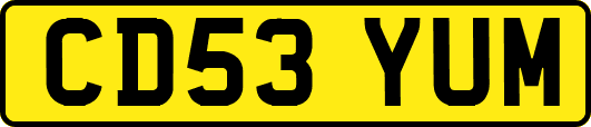 CD53YUM