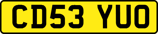 CD53YUO