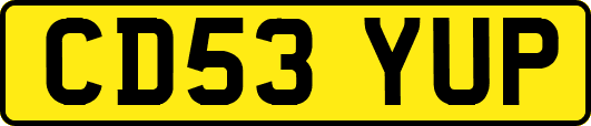 CD53YUP