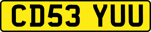 CD53YUU
