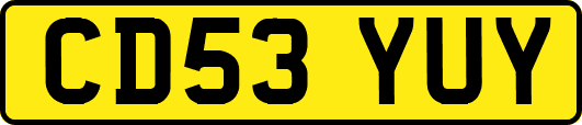 CD53YUY