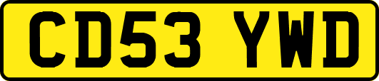 CD53YWD