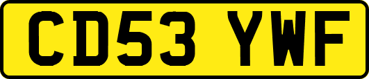 CD53YWF