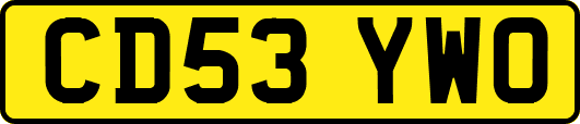 CD53YWO