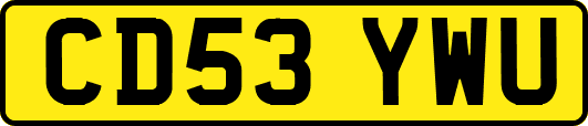 CD53YWU