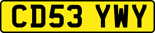 CD53YWY