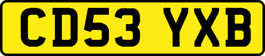 CD53YXB