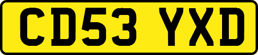 CD53YXD