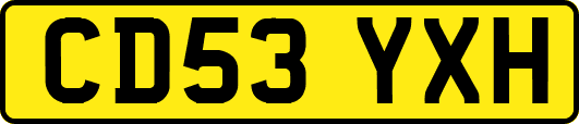 CD53YXH