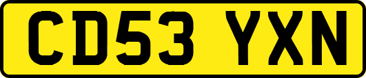 CD53YXN