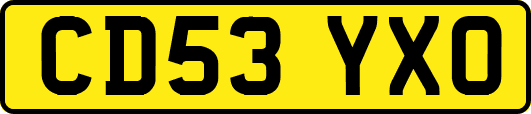 CD53YXO