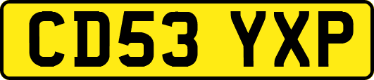 CD53YXP