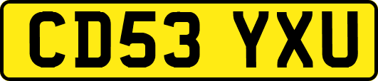 CD53YXU