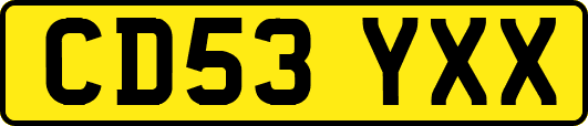 CD53YXX