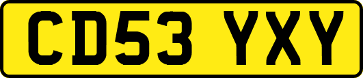 CD53YXY