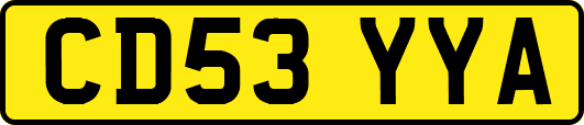 CD53YYA