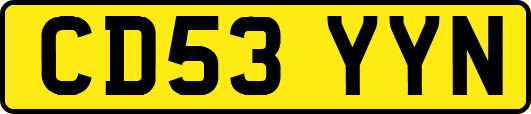 CD53YYN