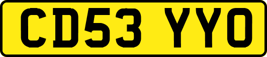 CD53YYO