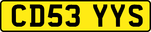 CD53YYS
