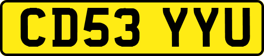 CD53YYU