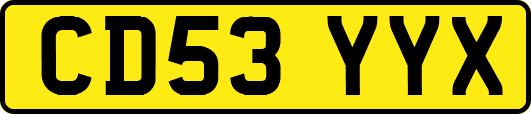CD53YYX