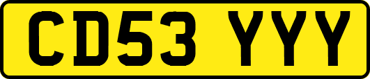 CD53YYY