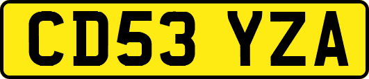 CD53YZA