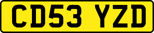 CD53YZD
