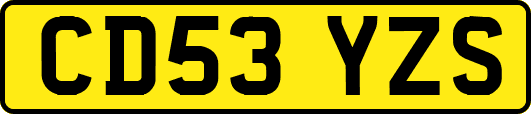 CD53YZS
