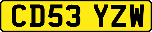 CD53YZW