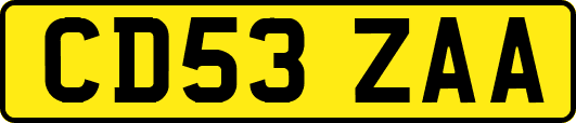 CD53ZAA