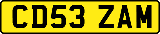 CD53ZAM