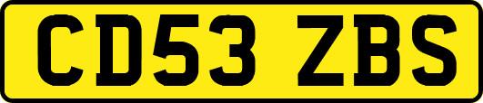 CD53ZBS