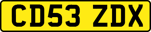 CD53ZDX
