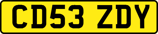CD53ZDY