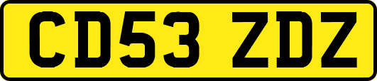CD53ZDZ