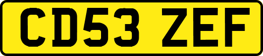 CD53ZEF