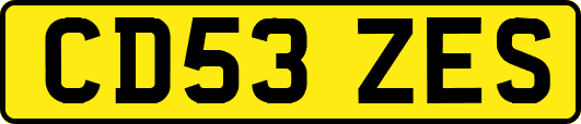 CD53ZES