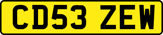 CD53ZEW